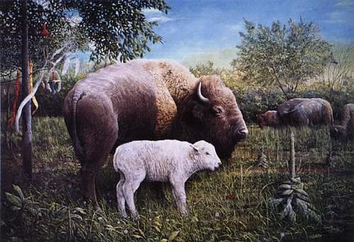 White Buffalo Calf-American Bisons-painting.jpg
