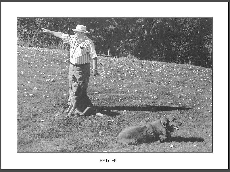 06-Duckboy-Calendar2001 Paul-Stanton May graylady.jpg