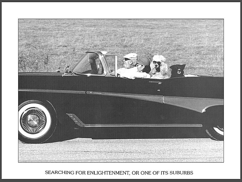 08-Duckboy-Calendar2001 Paul-Stanton Jul graylady.jpg