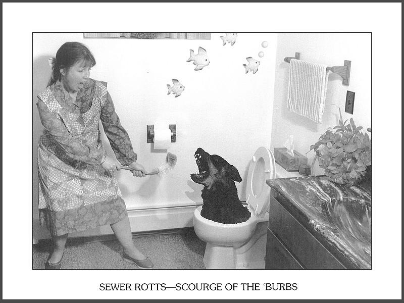 12-Duckboy-Calendar2001 Paul-Stanton Nov graylady.jpg