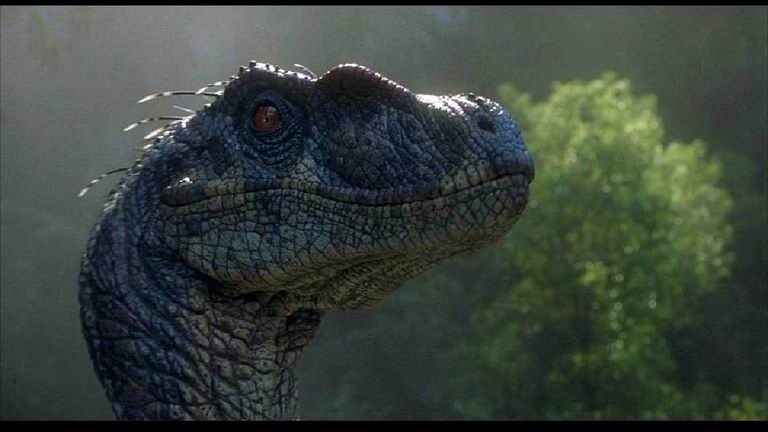 20030112 10-Jurassic Park III-Velociraptor.jpg