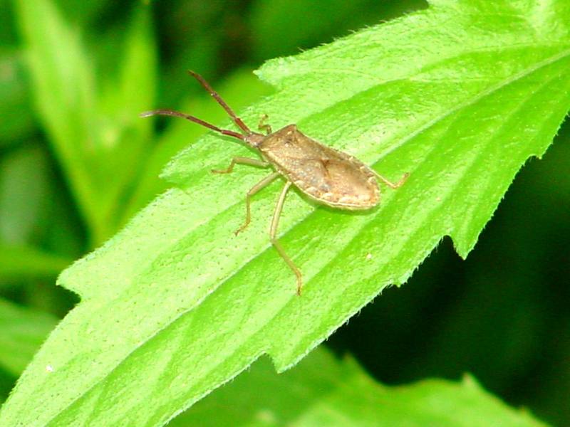 DSC00063.JPG