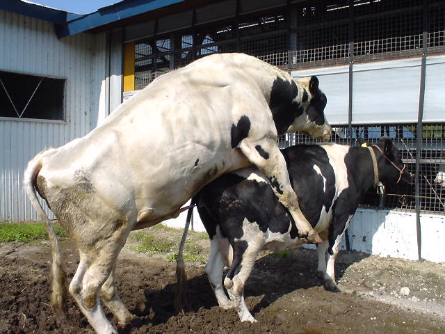 DSC00124.JPG