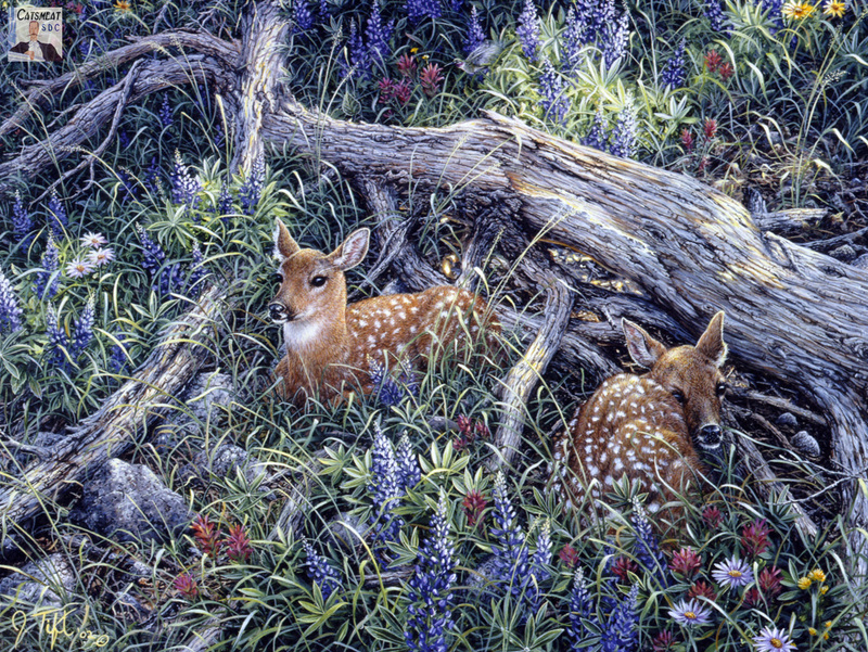 Catsmeat SDC 2004WWC 05 Fawns & Flowers.jpg