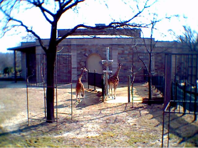 photo6.jpg