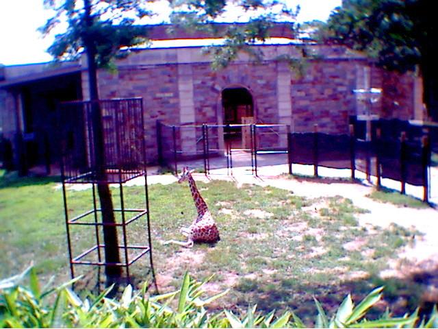 PHOTO8.jpg
