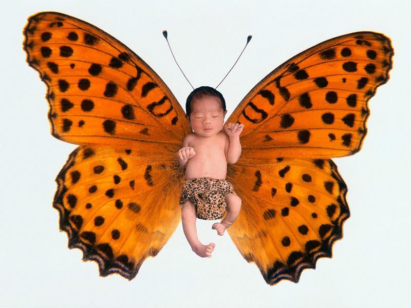 Modern Metamorphosis.jpg