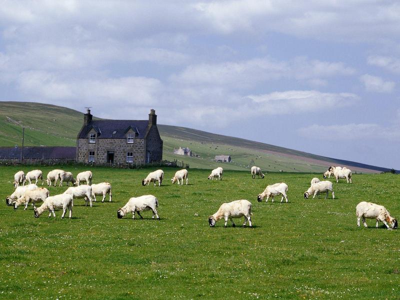 Grampian Farm Near Rhynie Scotland.jpg