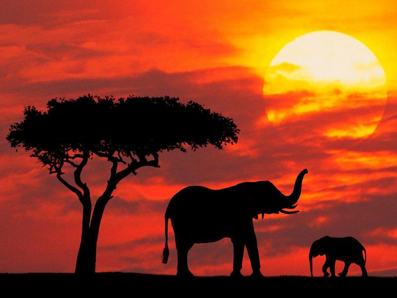 Mother and Baby Silhouetted at Sunrise Kenya.jpg
