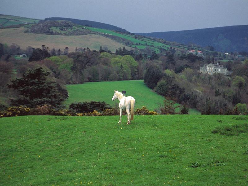 Wicklow Countryside Near Powerscourt Castle Ireland.jpg