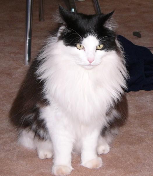 Velcro gets flashed.jpg