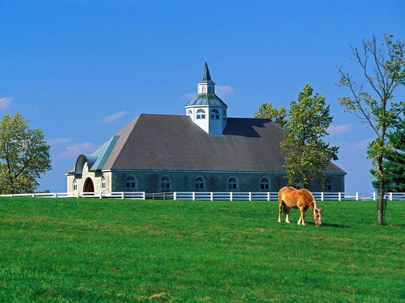 Donamire Horse Farm Lexington Kentucky.jpg