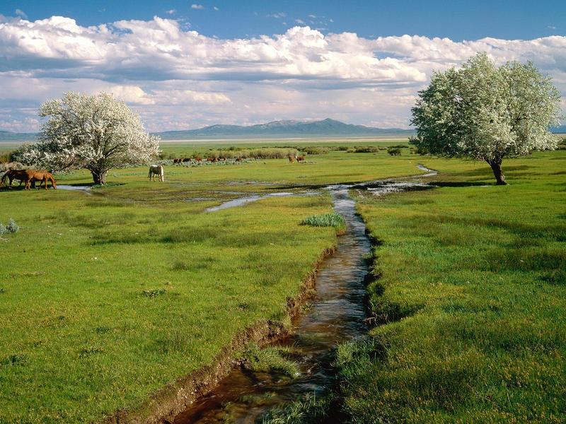 Ruby Valley Nevada.jpg