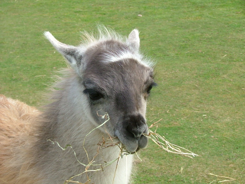 DSCF3149.JPG