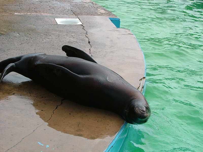DSCF3065.JPG