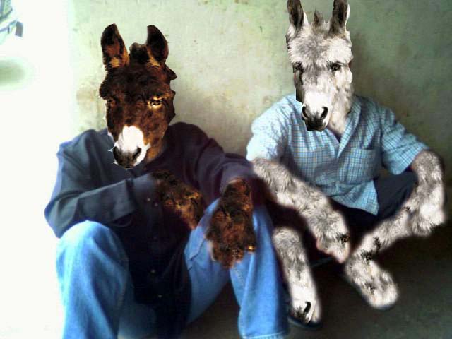 donkey friend.jpg