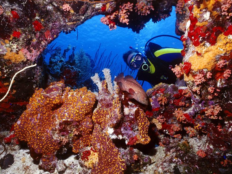 Bonaire Netherlands Antilles.jpg