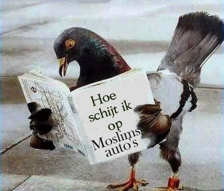 schijten.jpg