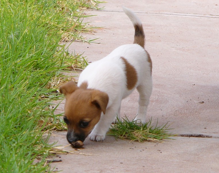 Milly 7.jpg