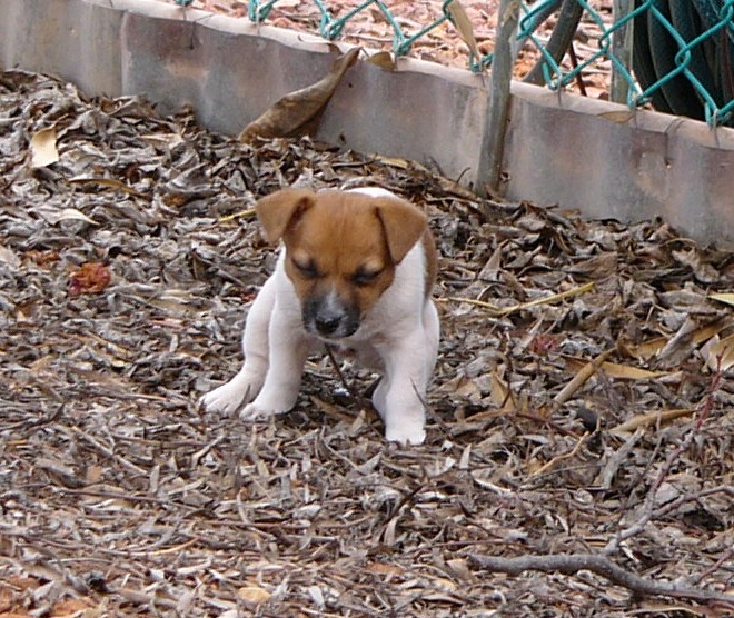 Milly 4.jpg