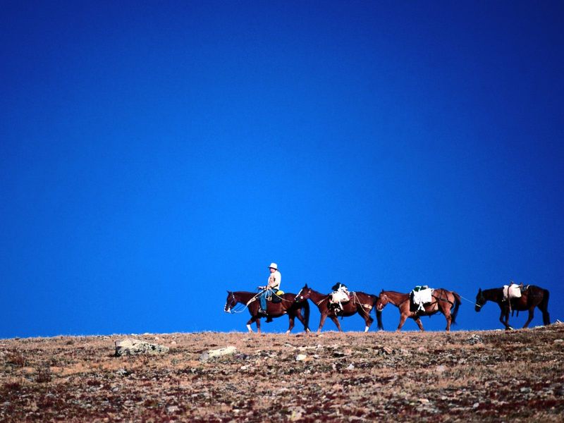 Leader of the Pack.jpg
