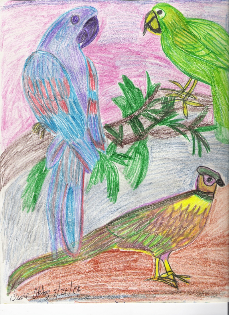 COLORFUL BIRDS.jpg