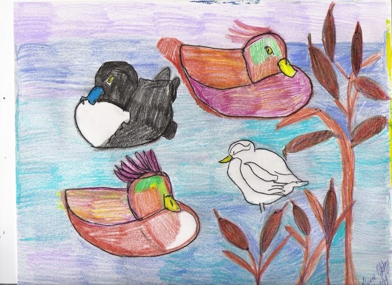 EXOTIC WATERFOWL.jpg