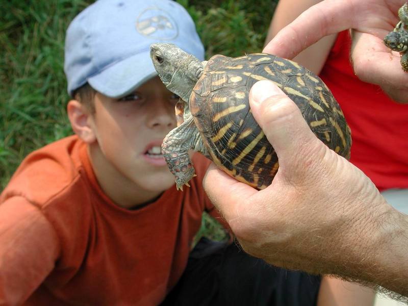 Cub Scout With Turtle.jpg