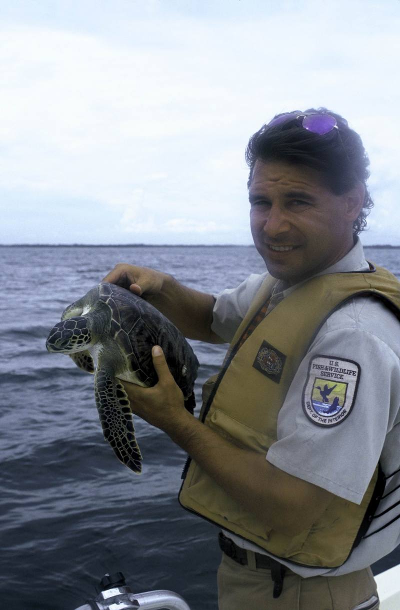 FWS Employee with Green Sea Turtle.jpg