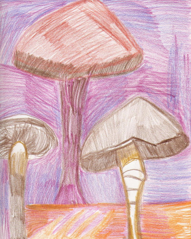 MUSHROOMS.jpg