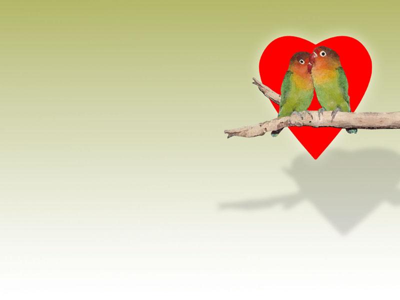 Love Birds.jpg