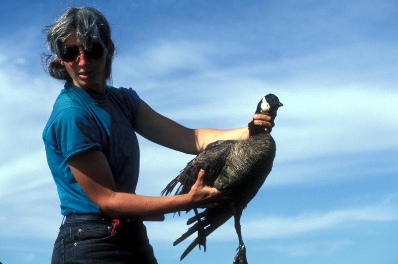 Patsy Martin and Lesser Canada Goose.jpg