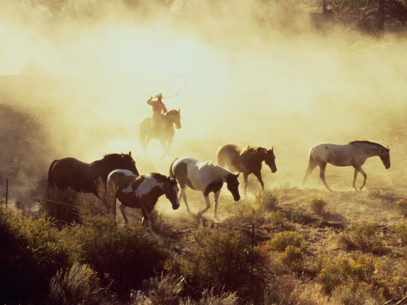 Wranglers Rock Springs Ranch Bend Oregon.jpg