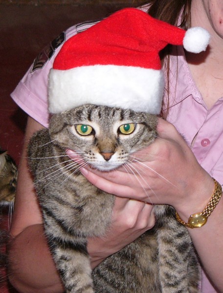 christmas 15.jpg