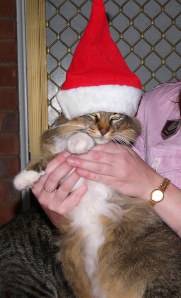 christmas 13.jpg
