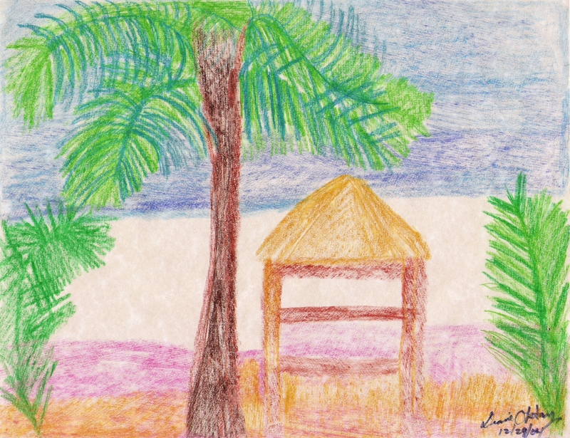 SOUTH PACIFIC ISLAND (PHOTO 3).jpg