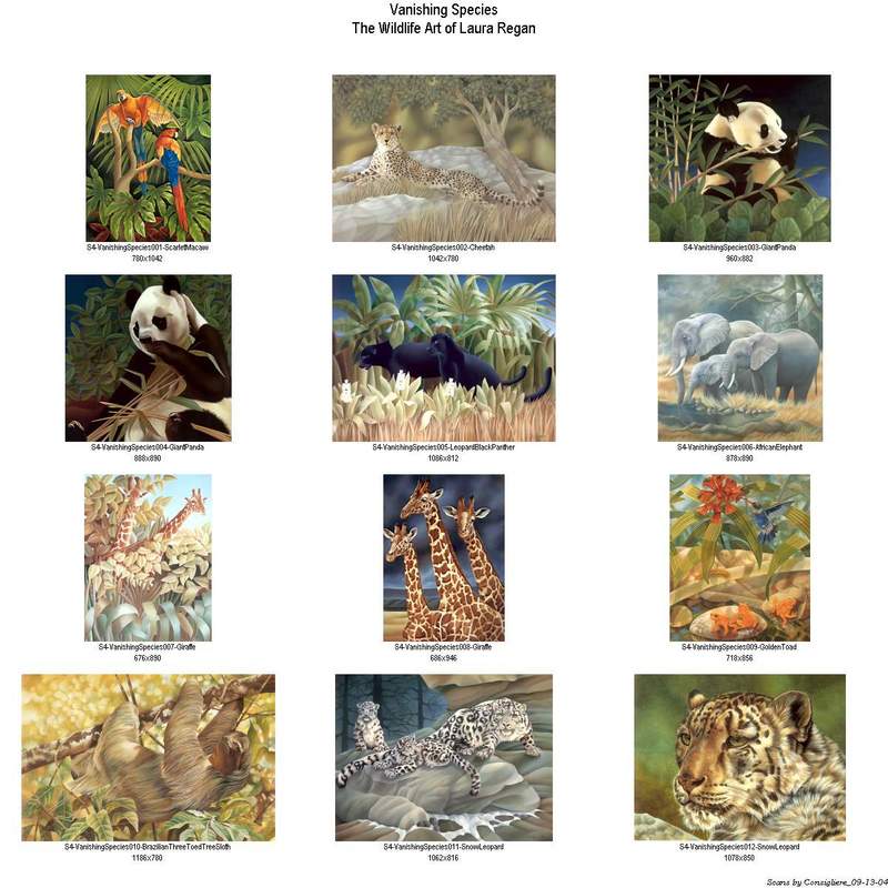 S4-VanishingSpecies!idx001.jpg