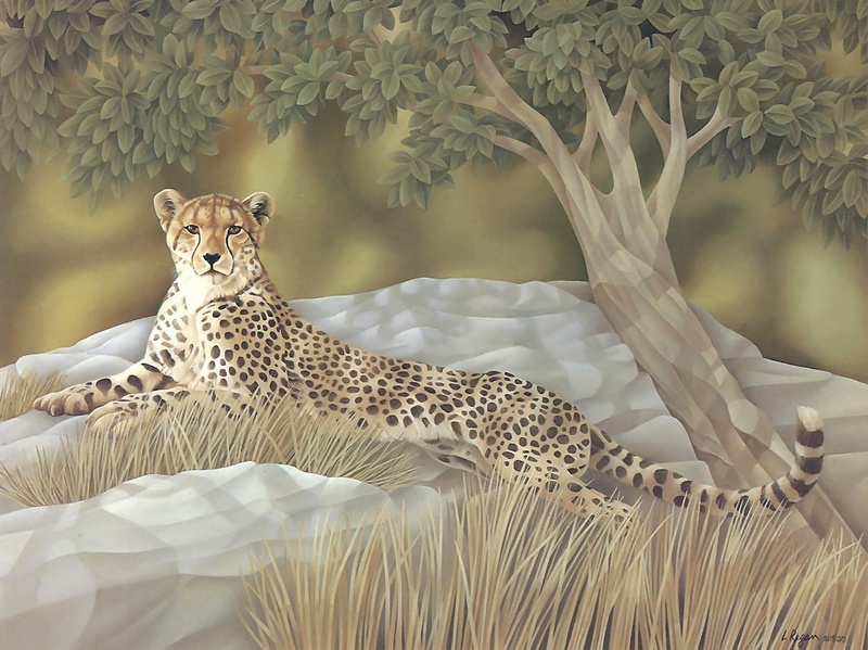 S4-VanishingSpecies002-Cheetah.jpg