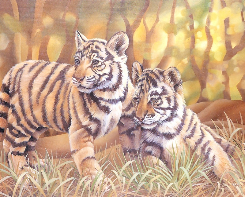 S4-VanishingSpecies046-TigerCubs.jpg