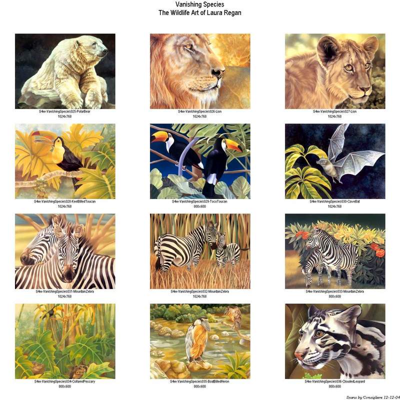 S4w-VanishingSpecies!idx003.jpg