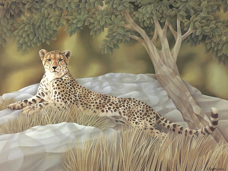 S4w-VanishingSpecies002-Cheetah.jpg