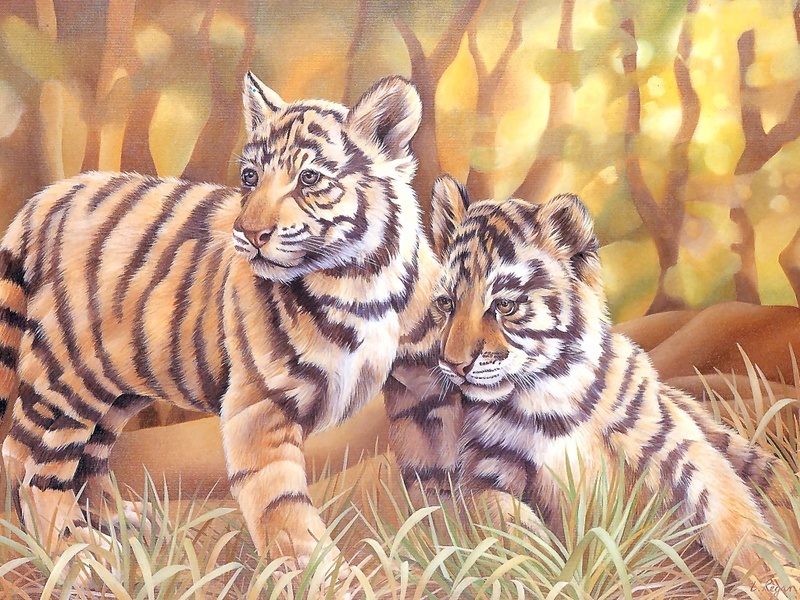 S4w-VanishingSpecies043-TigerCubs.jpg