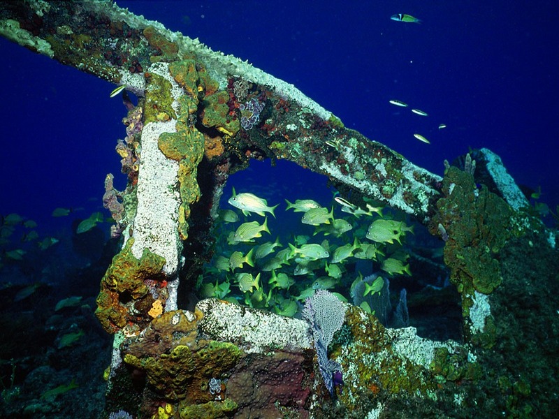 ST-SHPW001@Reef Scene with Shipwreck.jpg