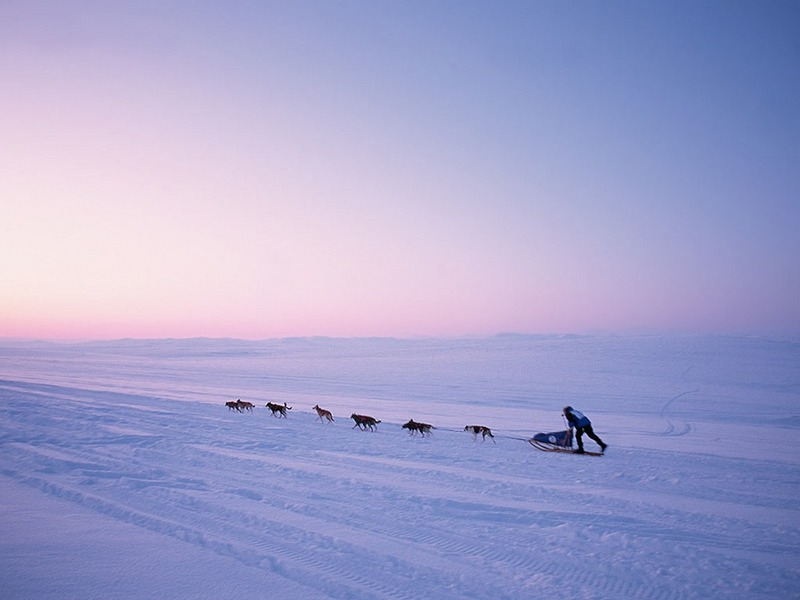 ST-WINT001@Dogsled.jpg