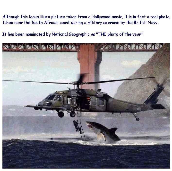 9069.jpg