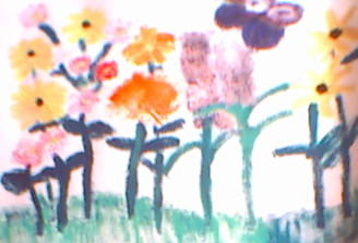 Wildflowers.jpg