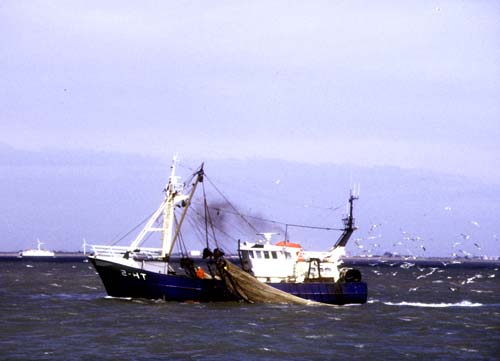 Op-zee-Vlissingen.jpg