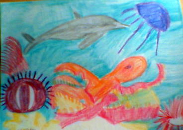 Sea creatures.jpg