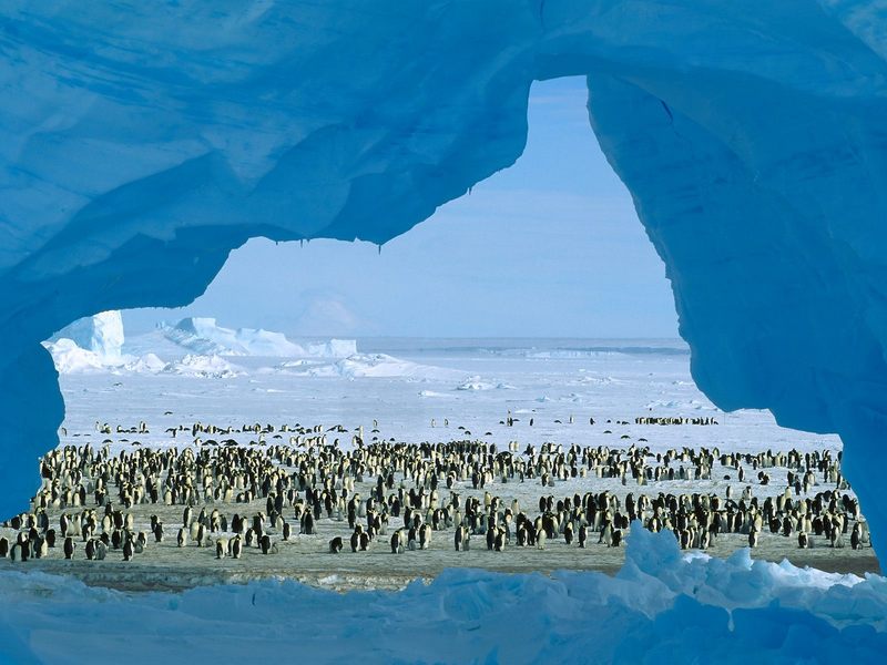 Atka Bay Weddell Sea Antarctica.jpg