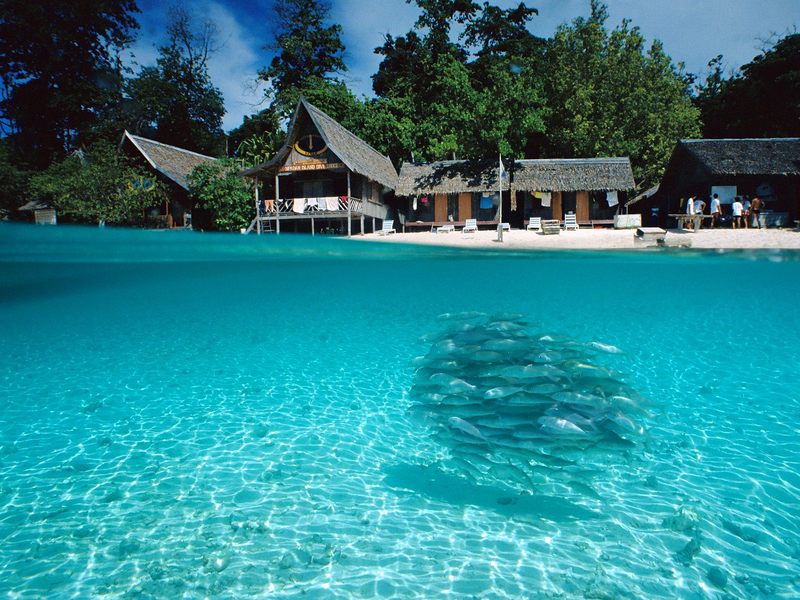 Split-View of Sipida Island Borneo.jpg